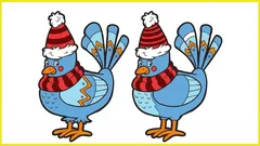 Endast 30 % av alla människor klarar av att hitta alla 5 skillnaderna på 10 sekunder