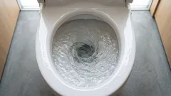 Bakterier från toaletten hamnar till och med på din tandborste – så här gör du för att undvika det