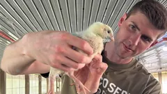 En 27-årig bankman sa upp sig från sitt jobb med en lön på 150 000 dollar för att ägna sig åt hönsuppfödning – och här är varför