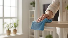 Dammet försvinner av sig själv: ett enkelt knep med en påse som städproffsen inte berättar om